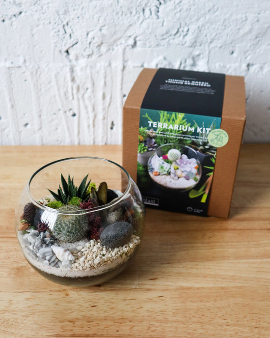 Terrarium Kit : Globe