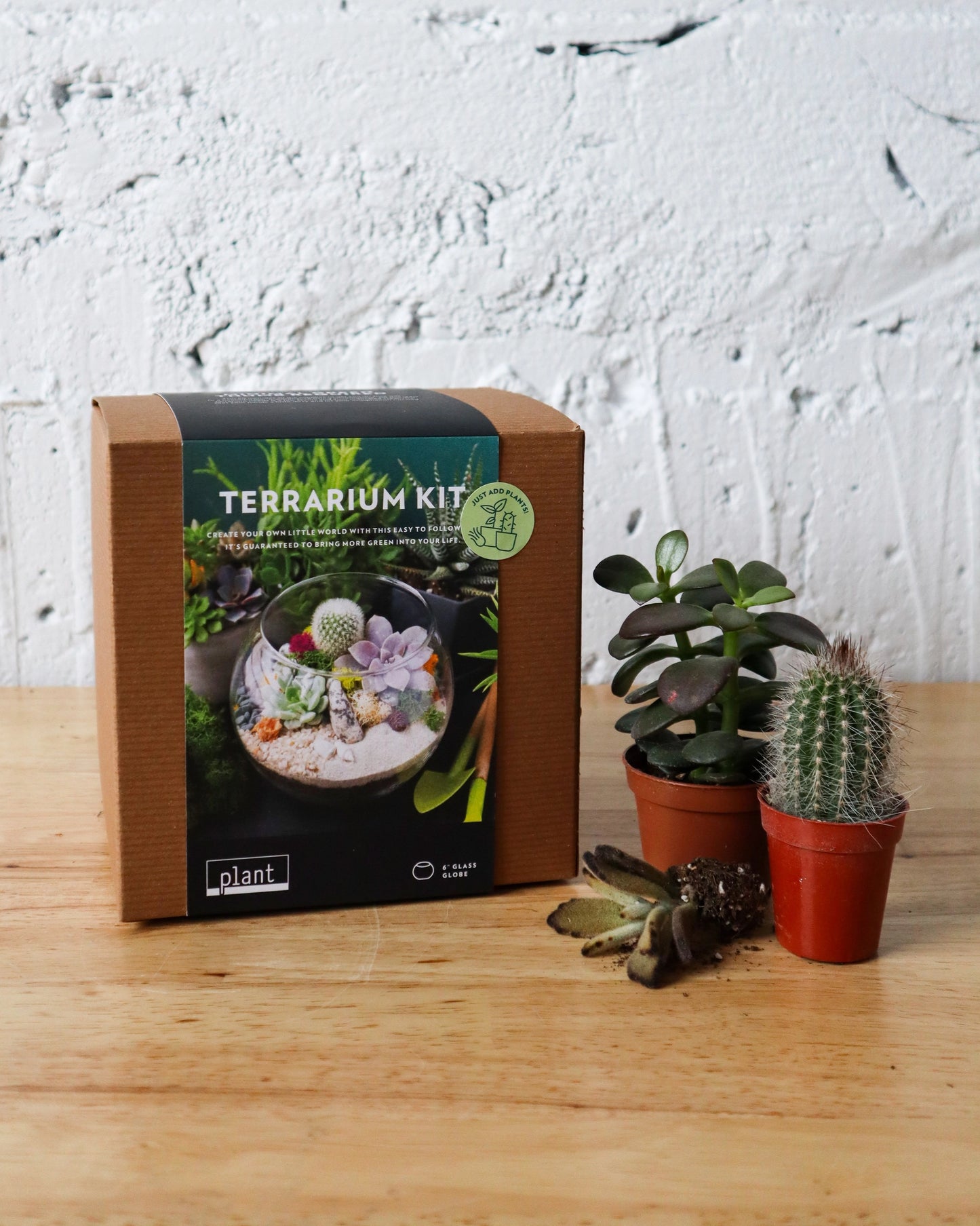 Terrarium Kit : Globe