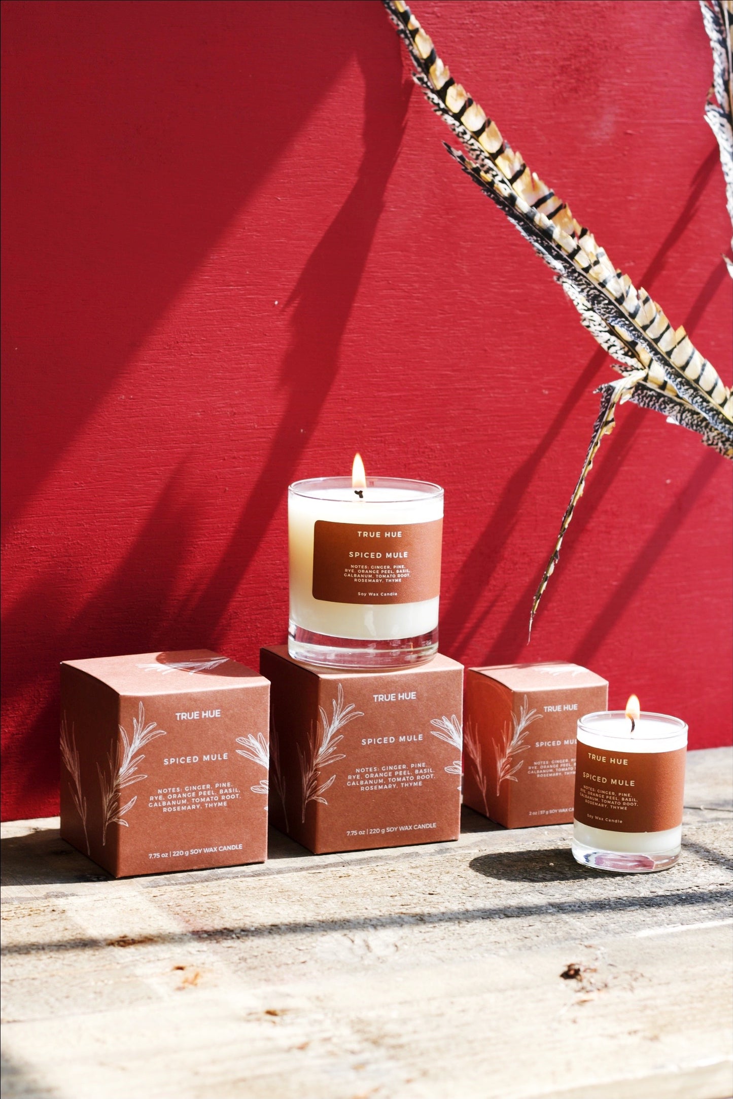 Soy Wax Candles – Moss and Spade