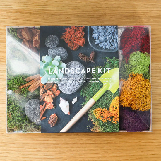 Landscape Kit for Terrarium