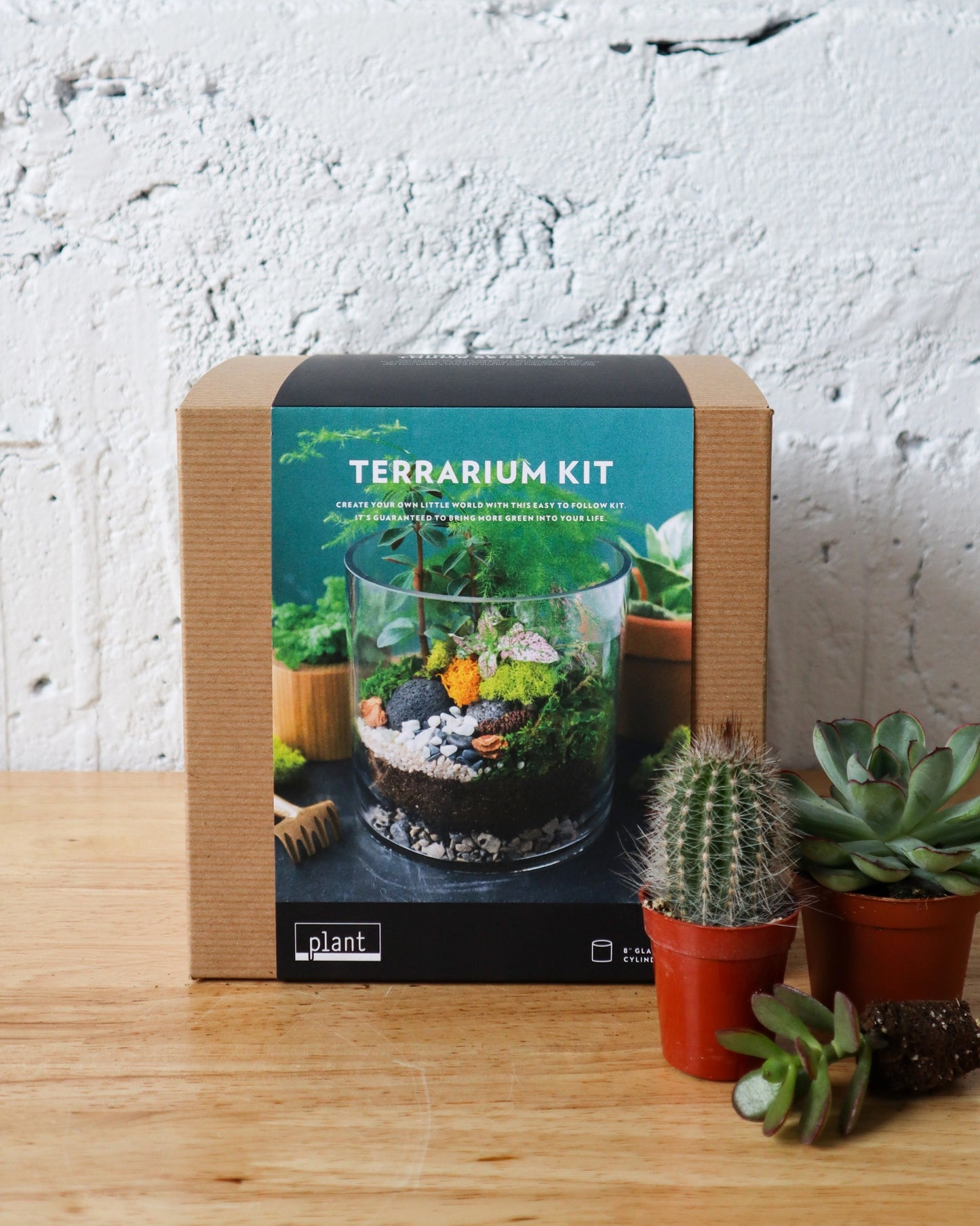 Terrarium Kit : Large Cylinder