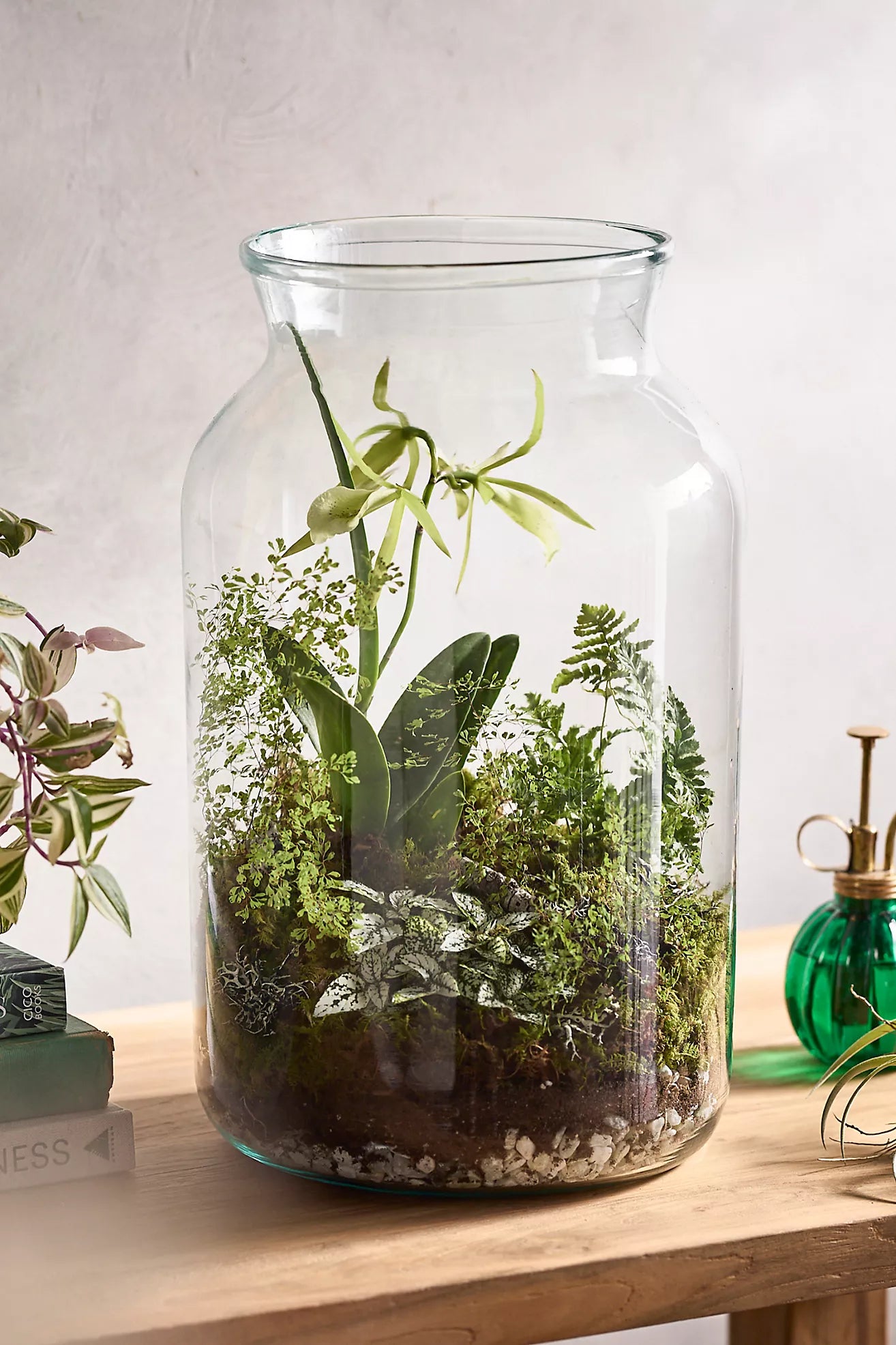 Sip & Terrarium Workshop