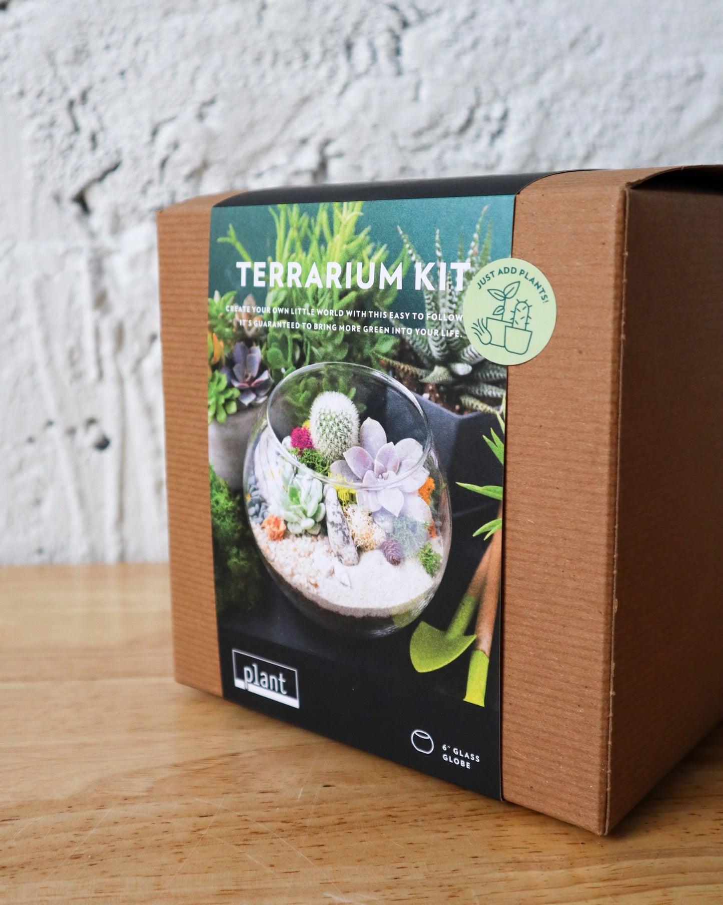 Terrarium Kit : Globe