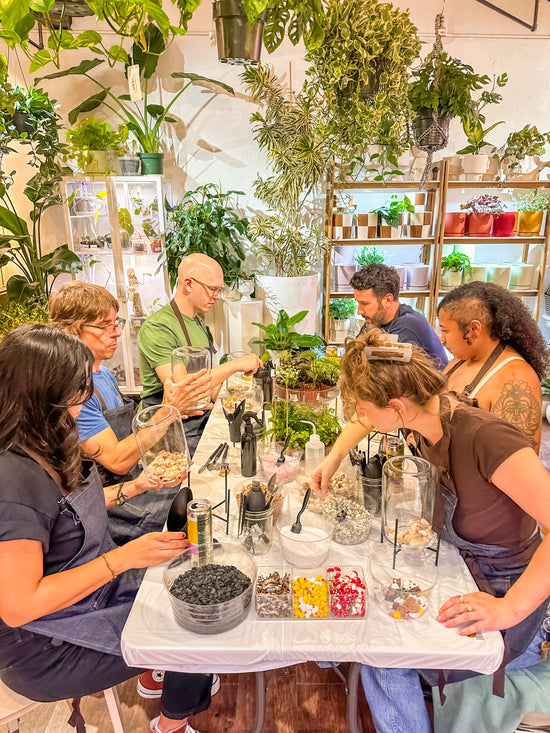 Sip & Terrarium Workshop