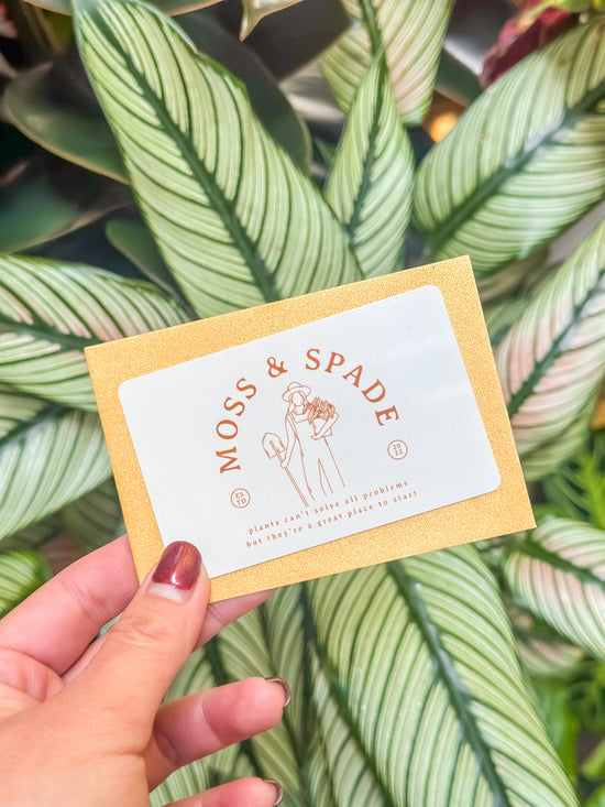 Moss & Spade In-Store Gift Card
