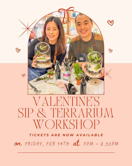 Sip & Terrarium Workshop