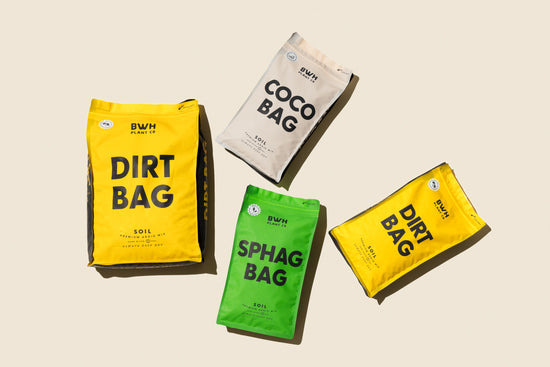 Dirt Bag: Premium Aroid Mix - 2 Gallon