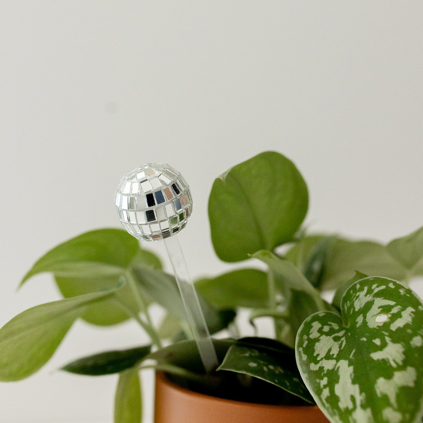 Load image into Gallery viewer, Disco Ball Plant Stick
