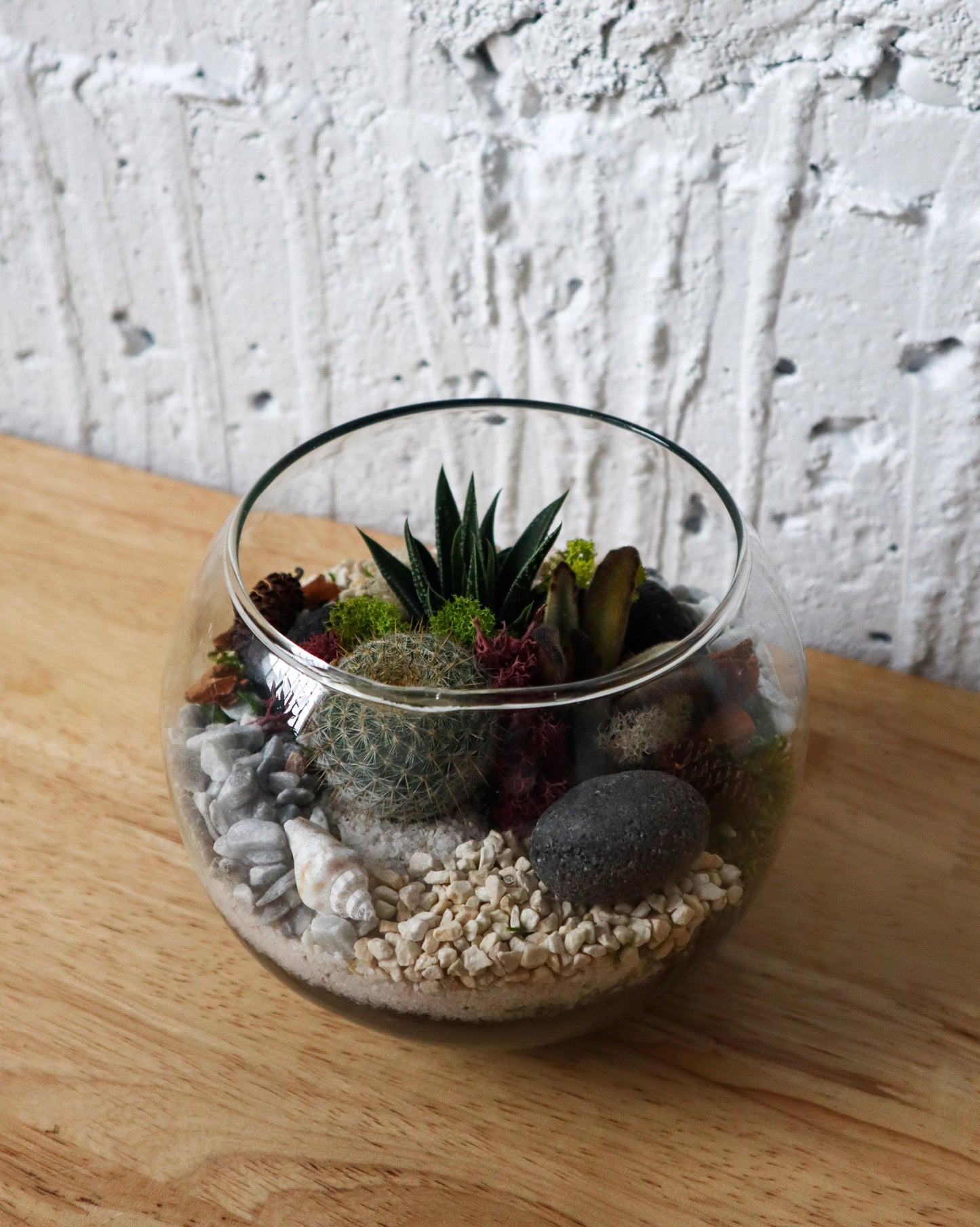 Terrarium Kit : Globe