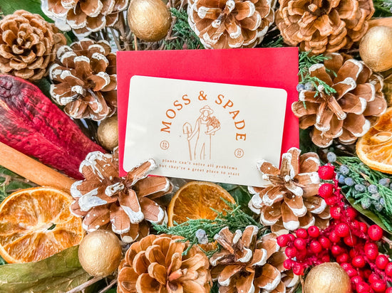 Load image into Gallery viewer, Moss &amp;amp; Spade In-Store Gift Card
