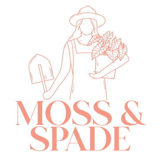 Moss and Spade
